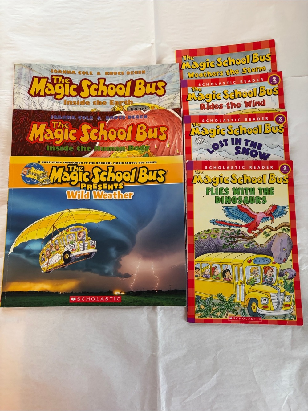 The Magic School Bus Scholastic Books Lot